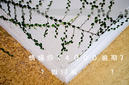 螞蟻借了4000逾期7個月：利息多少？如何解決？